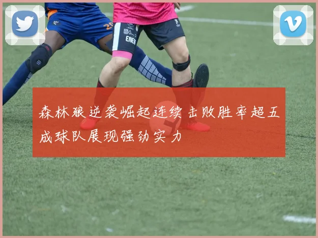 森林狼逆袭崛起连续击败胜率超五成球队展现强劲实力