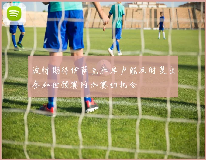 波特期待伊萨克和库卢能及时复出参加世预赛附加赛的机会